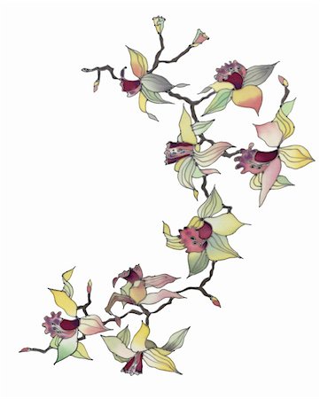 simsearch:400-04776674,k - Image of my artwork with a orchid branch isolated on white background Stock Photo - Budget Royalty-Free & Subscription, Code: 400-05302093