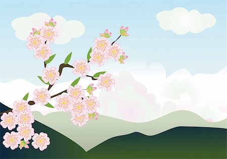 simsearch:400-04882926,k - vector cherry blossom with mountains at the background Stock Photo - Budget Royalty-Free & Subscription, Code: 400-05302326
