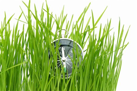 simsearch:400-05362449,k - compass in green grass isolated on white background Stock Photo - Budget Royalty-Free & Subscription, Code: 400-05316369