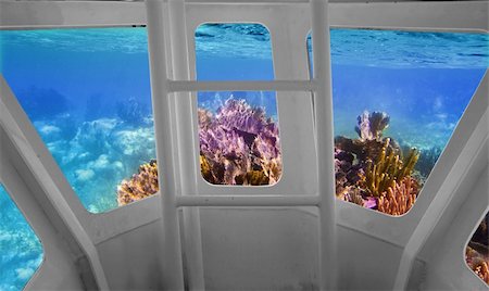 Tropical reef view from underwater submarine bow view Stock Photo - Budget Royalty-Free & Subscription, Code: 400-05313834