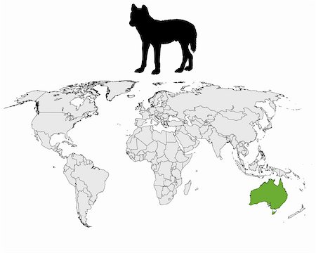 Australian Dingo range Stock Photo - Budget Royalty-Free & Subscription, Code: 400-05329531