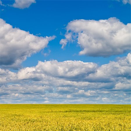 simsearch:400-04996406,k - beautiful landscape with blue sky and white clouds Stock Photo - Budget Royalty-Free & Subscription, Code: 400-05336979