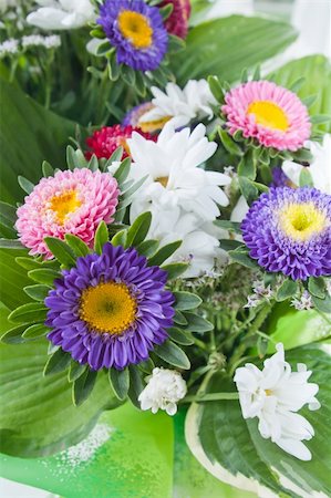 Bouquet summer of florets, a close up Stock Photo - Budget Royalty-Free & Subscription, Code: 400-05337388