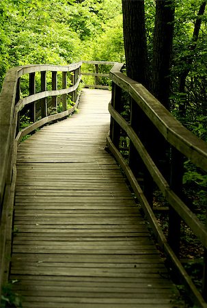 a Wooden bridge through the forest Stock Photo - Budget Royalty-Free & Subscription, Code: 400-05339410
