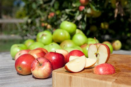 simsearch:400-07096505,k - Freshly picked apples in an orchard setting Stock Photo - Budget Royalty-Free & Subscription, Code: 400-05339912