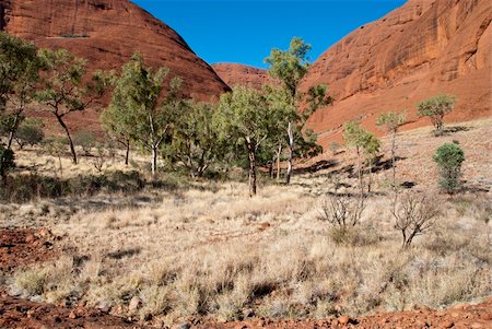 simsearch:400-03947083,k - Colors of Australian Outback during Winter Season, Northern Territory, Australia Stock Photo - Budget Royalty-Free & Subscription, Code: 400-05330085