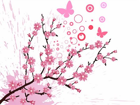 vector eps 10 illustration of a branch with cherry blossom Stock Photo - Budget Royalty-Free & Subscription, Code: 400-05333092