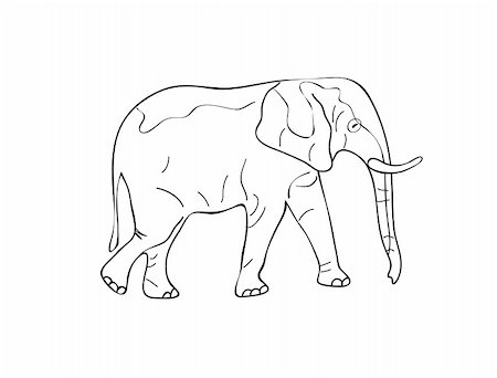 Standing Elephant Sketch. Black White Vector Illustration Stock Photo - Budget Royalty-Free & Subscription, Code: 400-05333151