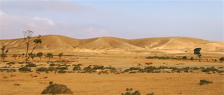 Panoramic view on hills of Negev Desert in Israe. Stock Photo - Budget Royalty-Free & Subscription, Code: 400-05346529