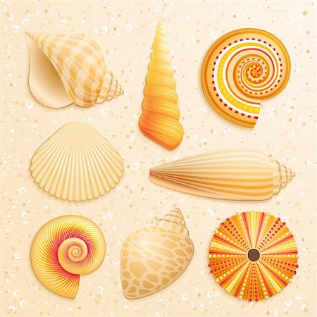 simsearch:400-08646884,k - Seashell collection on sand background. Vector illustration. Stock Photo - Budget Royalty-Free & Subscription, Code: 400-05348763