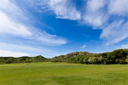 diamond head - beautiful spot in diamond head state monument Stock Photo - Budget Royalty-Free & Subscription, Code: 400-05349727