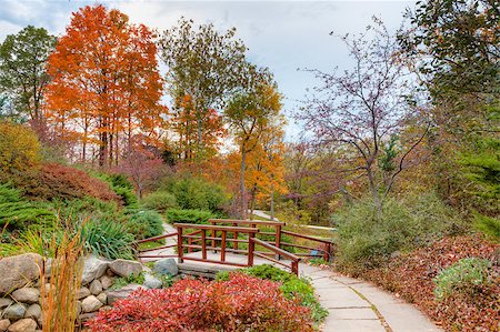 red trail - Beautiful fall scenery in the one of the city parks in Indianapolis, Indiana Stock Photo - Budget Royalty-Free & Subscription, Code: 400-05340201