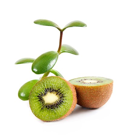 simsearch:400-04386768,k - ripe kiwi isolated on a white background Stock Photo - Budget Royalty-Free & Subscription, Code: 400-05341378