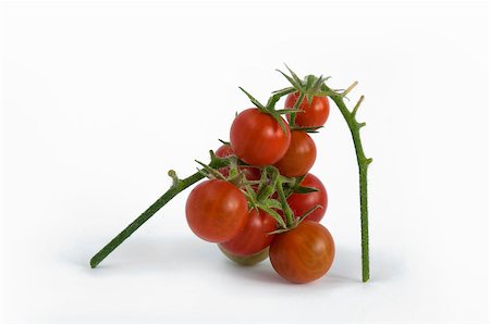 simsearch:400-04393672,k - Cherry tomatoes with stem isolated on white Stock Photo - Budget Royalty-Free & Subscription, Code: 400-05342780