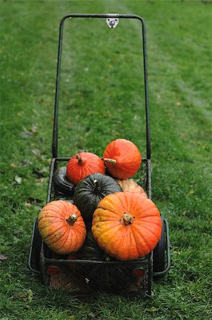 pumpkins in the transportation vehicle on the green grass Stock Photo - Budget Royalty-Free & Subscription, Code: 400-05342856