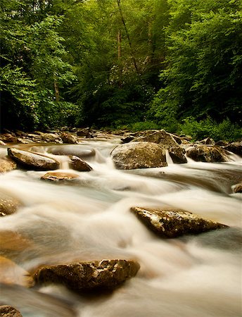 Fantastic river at Great Smoky Mountains National Park Stock Photo - Budget Royalty-Free & Subscription, Code: 400-05343150