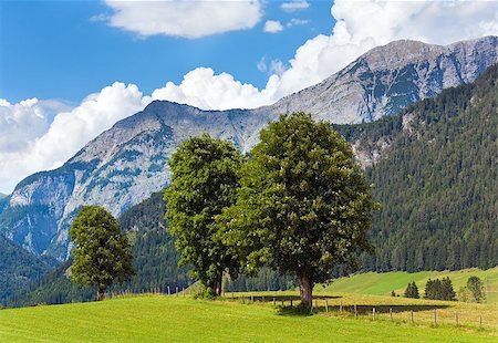 simsearch:400-05135647,k - Alps mountain meadow tranquil summer view (Austria, Gosau village outskirts) Stock Photo - Budget Royalty-Free & Subscription, Code: 400-05343745