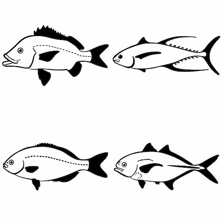 Fish on white background Stock Photo - Budget Royalty-Free & Subscription, Code: 400-05355473