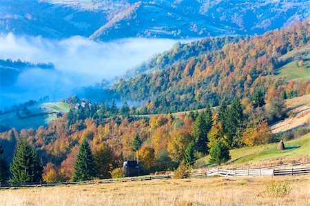 simsearch:400-05719580,k - Autumn misty morning mountain valley (Carpathian Mt's, Ukraine). Photographie de stock - Aubaine LD & Abonnement, Code: 400-05355988