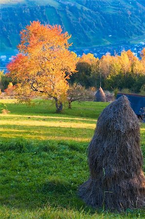 simsearch:400-05719580,k - Autumn misty evening mountain hill with stack of hay  (Rahiv town outskirts, Carpathian Mt's, Ukraine). Photographie de stock - Aubaine LD & Abonnement, Code: 400-05355983