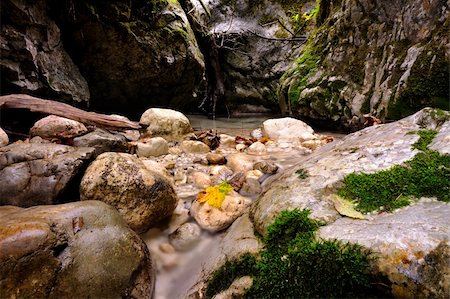 stream in garden - small stream  with moss and leaves in autumn colors Stock Photo - Budget Royalty-Free & Subscription, Code: 400-05356918