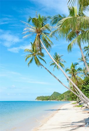 Beautiful tropical beach at Seychelles - vacation background Stock Photo - Budget Royalty-Free & Subscription, Code: 400-05358590