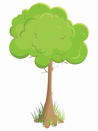 pzromashka (artist) - green tree. Vector illustration. Isolated on white background Foto de stock - Super Valor sin royalties y Suscripción, Código: 400-05359440