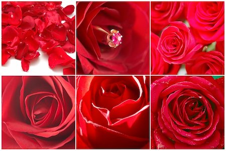 Collage of six images with red roses Foto de stock - Super Valor sin royalties y Suscripción, Código: 400-05368844