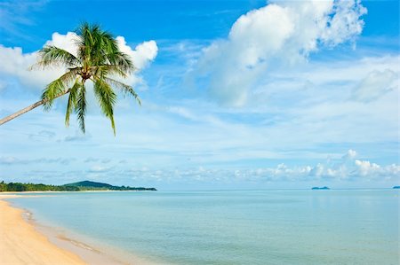 Tropical beach at Seychelles - vacation background Stock Photo - Budget Royalty-Free & Subscription, Code: 400-05360061