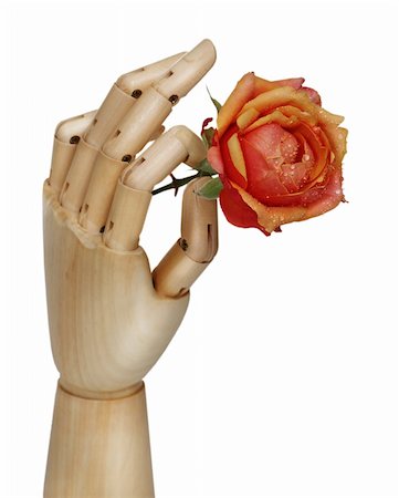 robotic hand - Wooden robot hand holding rose flower over white Stock Photo - Budget Royalty-Free & Subscription, Code: 400-05360255
