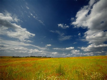 Wide angle shot of a summer field with dirt road Stock Photo - Budget Royalty-Free & Subscription, Code: 400-05360737