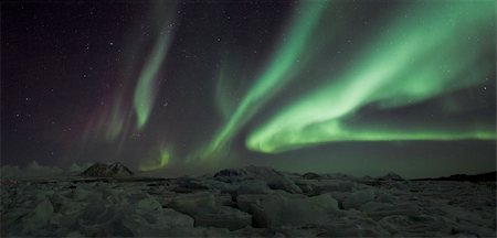 Northern Lights over the Arctic fjord - Spitsbergen, Svalbard  Arctic winter night Stock Photo - Budget Royalty-Free & Subscription, Code: 400-05360748