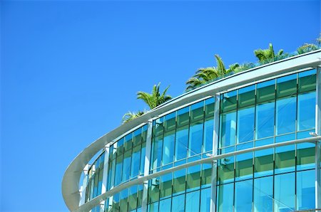 Contemporary building made of glass and iron with palm tree on the roof Stock Photo - Budget Royalty-Free & Subscription, Code: 400-05375559