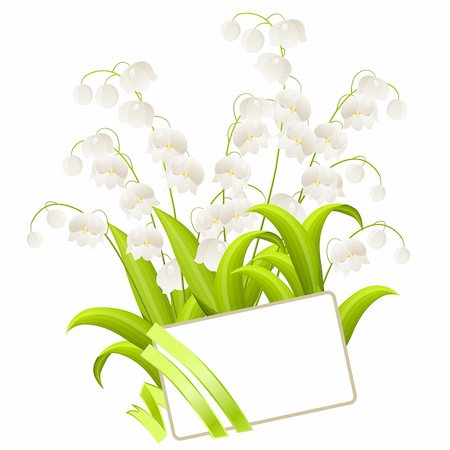Blank visitcard with bunch of lilies of the valley isolated Stock Photo - Budget Royalty-Free & Subscription, Code: 400-05371251