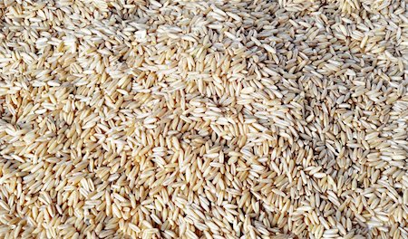 farm sack - Closeup of wheat grains Stock Photo - Budget Royalty-Free & Subscription, Code: 400-05371380