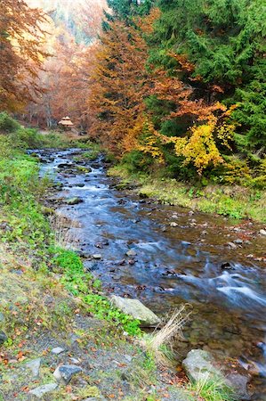 simsearch:400-05890122,k - Rocky Stream, Running Through Autumn Mountain Forest Stock Photo - Budget Royalty-Free & Subscription, Code: 400-05371760