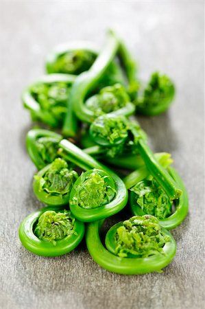 Fresh spring wild fiddleheads close up on wooden board Stock Photo - Budget Royalty-Free & Subscription, Code: 400-05372346