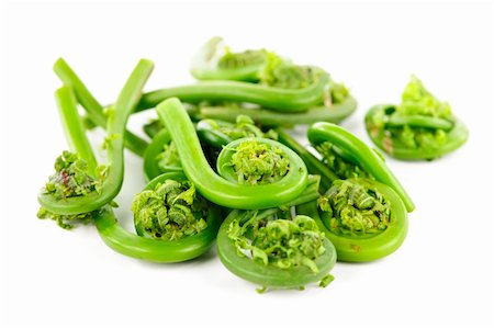Pile of fresh spring wild fiddleheads on white background Stock Photo - Budget Royalty-Free & Subscription, Code: 400-05372349