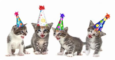 Singing Kittens on a White Background With Birthday Hats Stock Photo - Budget Royalty-Free & Subscription, Code: 400-05373073