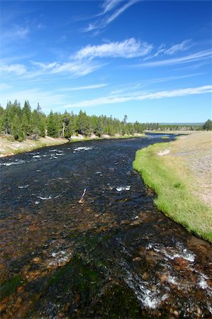simsearch:400-05705152,k - Firehole River flows through Yellowstone National Park on a beautiful sunny day. Stock Photo - Budget Royalty-Free & Subscription, Code: 400-05373669
