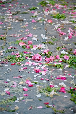 Cut flowers scattered on the street for a religious processio Stock Photo - Budget Royalty-Free & Subscription, Code: 400-05384871