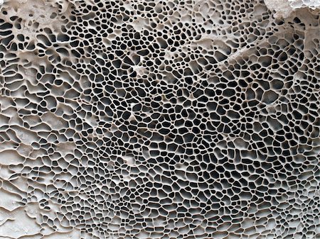 formation texture - Honeycomb patterns eroded into sandstone by the rain and ocean. Stock Photo - Budget Royalty-Free & Subscription, Code: 400-05386030