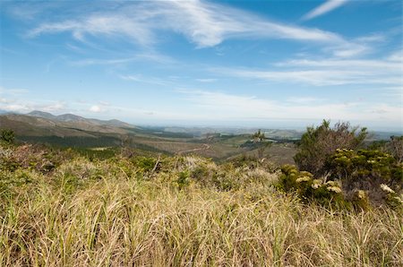 Overlooking the plantation on the hills, South Africa Stock Photo - Budget Royalty-Free & Subscription, Code: 400-05387036