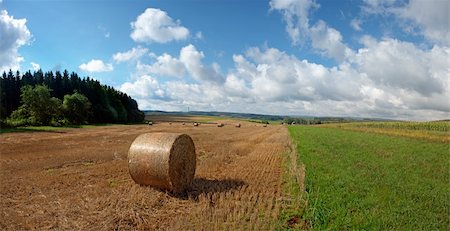 Lush Ardennes landscape, with a cornfield, hay bales and ta forest on a beautiful autumn day Stock Photo - Budget Royalty-Free & Subscription, Code: 400-05382653