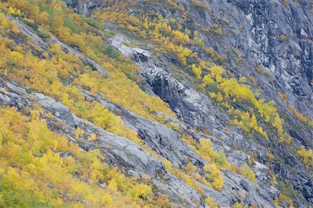 simsearch:400-05668307,k - Jostedalsbreen National Park, Norway Stock Photo - Budget Royalty-Free & Subscription, Code: 400-05668314