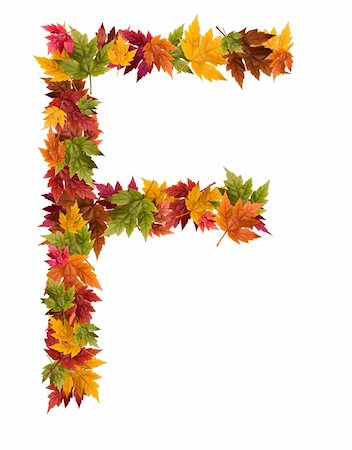 djm_photo (artist) - Alphabet and numbers made from autumn maple tree leaves. Stock Photo - Budget Royalty-Free & Subscription, Code: 400-05669509