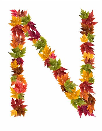 djm_photo (artist) - Alphabet and numbers made from autumn maple tree leaves. Stock Photo - Budget Royalty-Free & Subscription, Code: 400-05669517