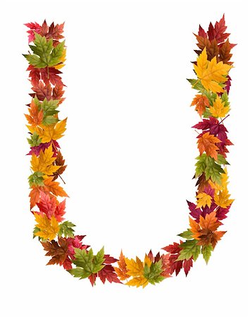 djm_photo (artist) - Alphabet and numbers made from autumn maple tree leaves. Stock Photo - Budget Royalty-Free & Subscription, Code: 400-05669524