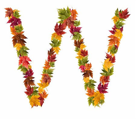 djm_photo (artist) - Alphabet and numbers made from autumn maple tree leaves. Stock Photo - Budget Royalty-Free & Subscription, Code: 400-05669526