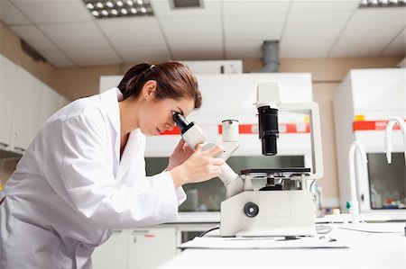 simsearch:400-05669968,k - Female scientist looking in a microscope in a laboratory Stock Photo - Budget Royalty-Free & Subscription, Code: 400-05669973